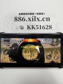 大侠立志传苗彩蝶结缘方法